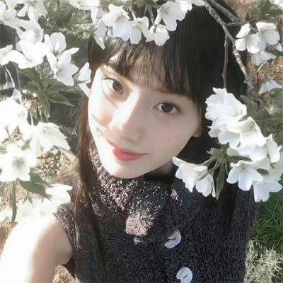 禁止入内的鼹鼠