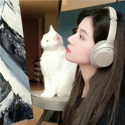 肥猫斗小强电影版