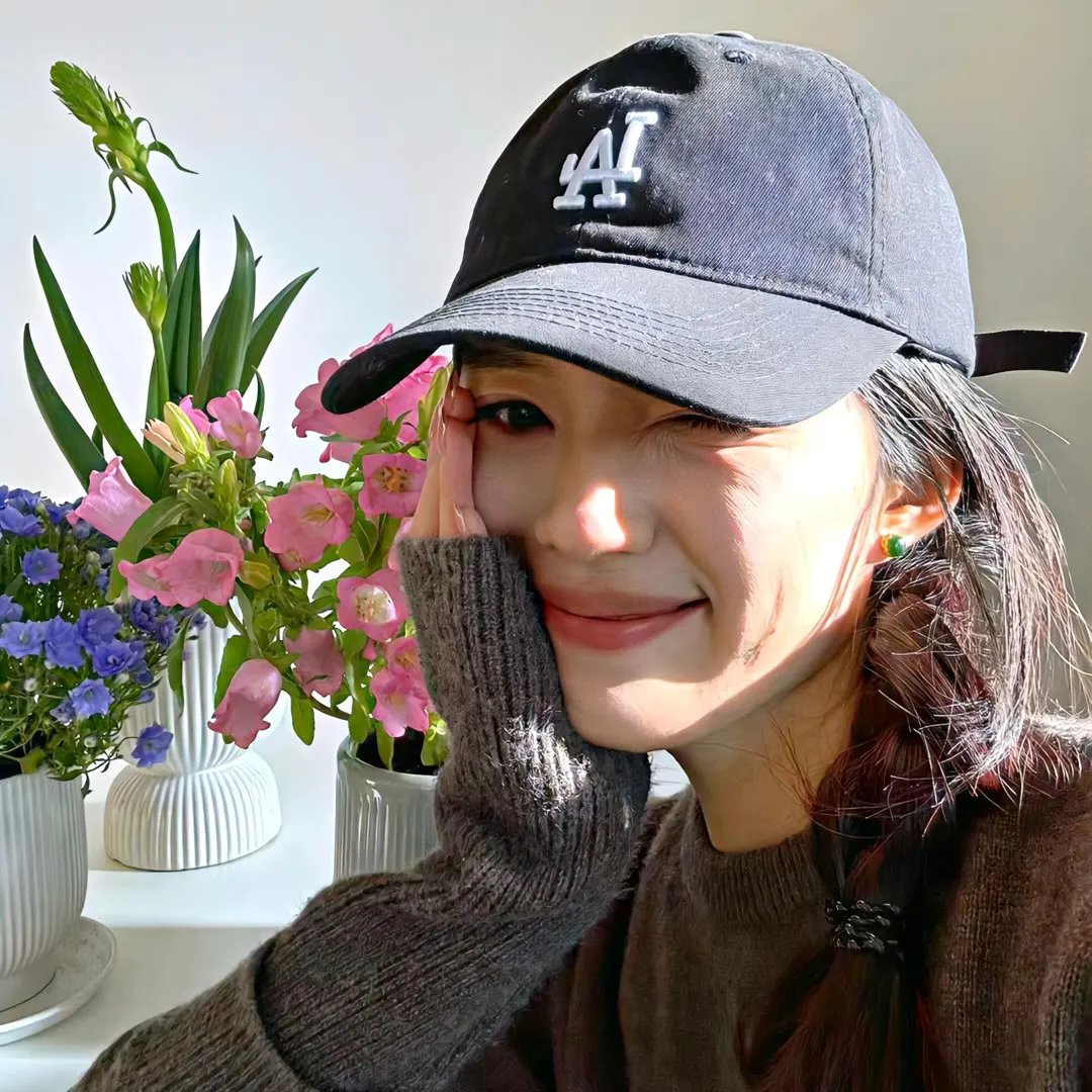 翱翔于天际的夜鹰